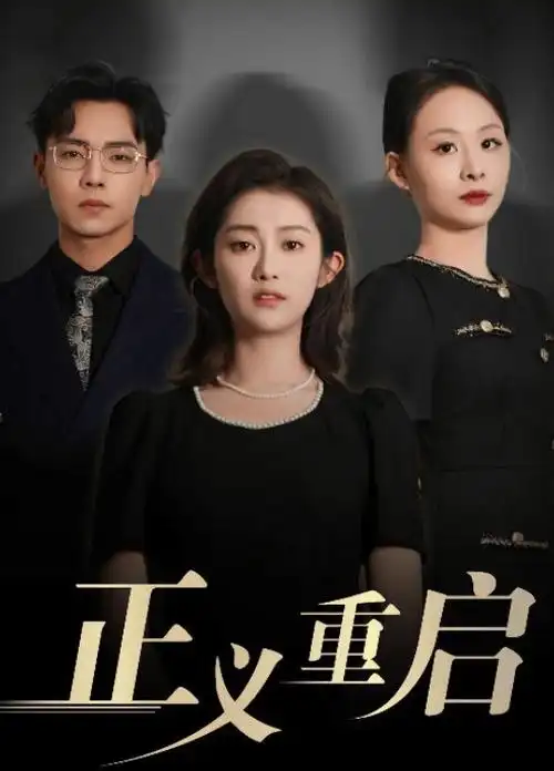高清剧集 无声证词 海报